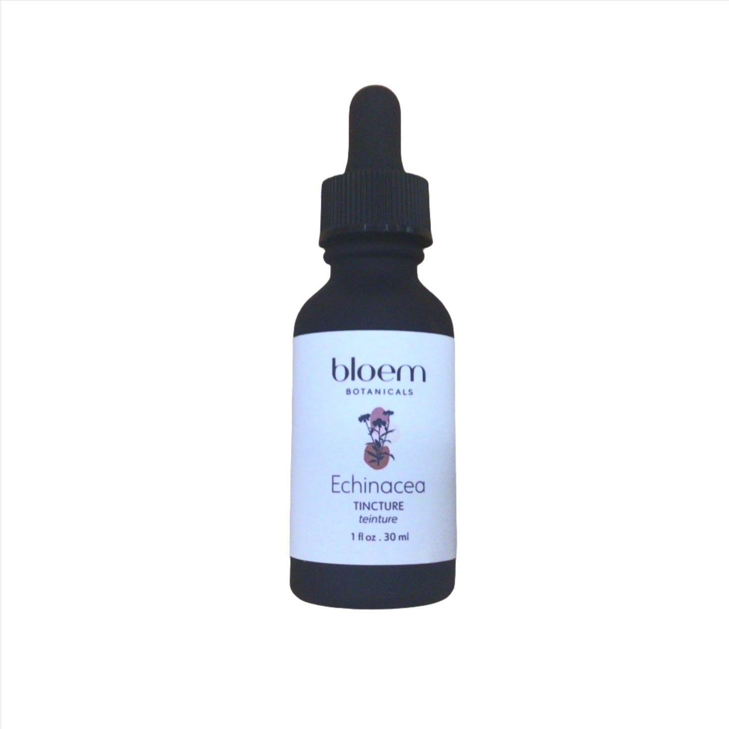Echinacea Tincture - Cold and Flu